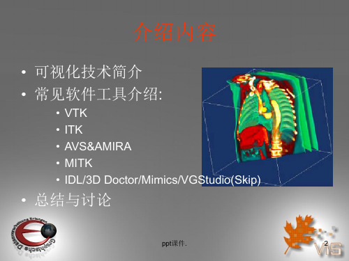 图形学课程可视化在医学中的应用ppt课件