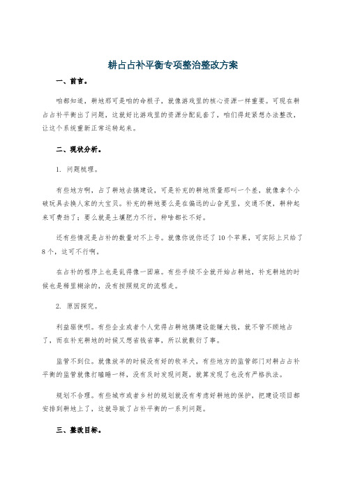 耕占占补平衡专项整治整改方案