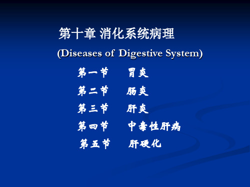 消化系统病理