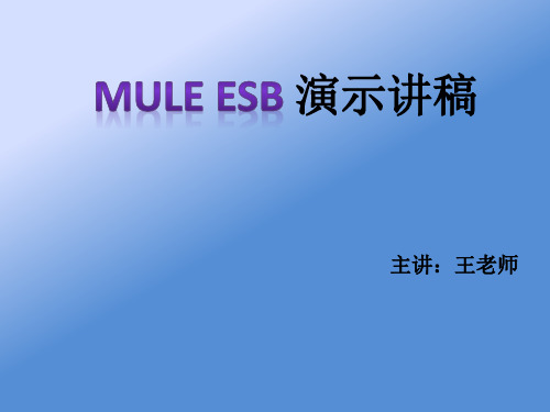 Mule技术文档