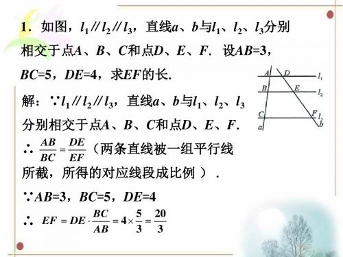 练习1_探索三角形相似的条件-优质公开课-苏科9下精品