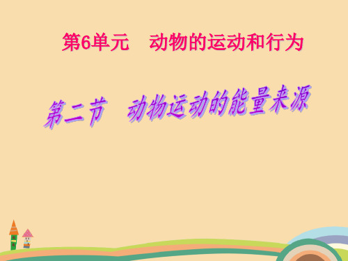 八年级生物动物运动能量的来源PPT优秀课件