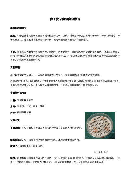 种子发芽实验报告