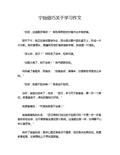 宁拙毋巧关于学习作文