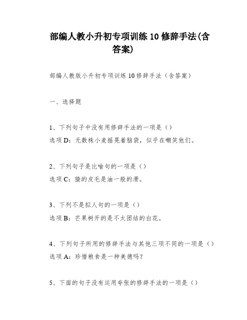 部编人教小升初专项训练10修辞手法(含答案)