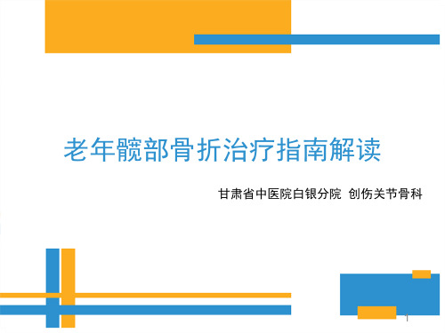 老年髋部骨折治疗指南解读PPT课件