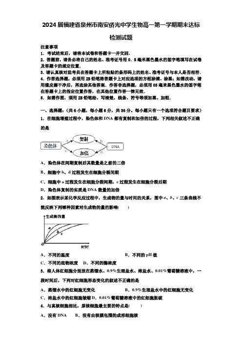 2024届福建省泉州市南安侨光中学生物高一第一学期期末达标检测试题含解析