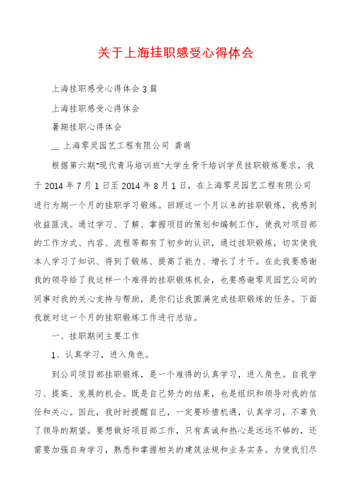 关于上海挂职感受心得体会