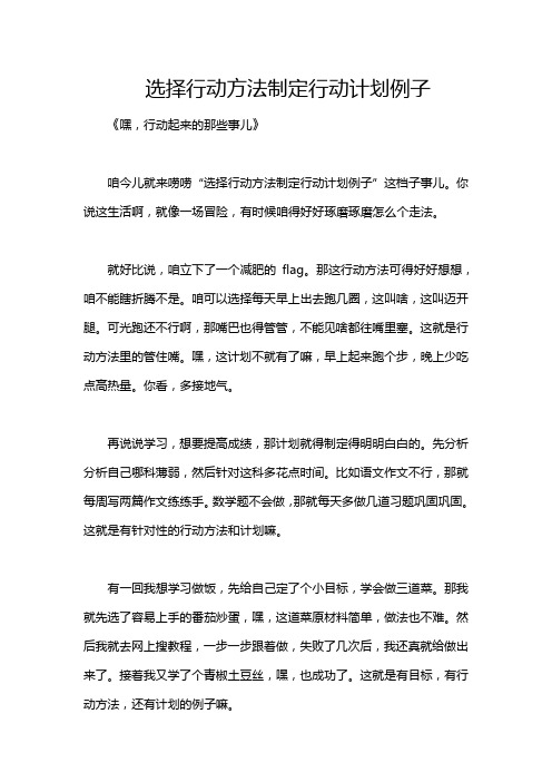 选择行动方法制定行动计划例子