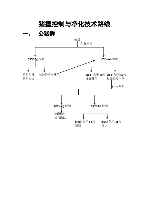 猪瘟净化与控制方案