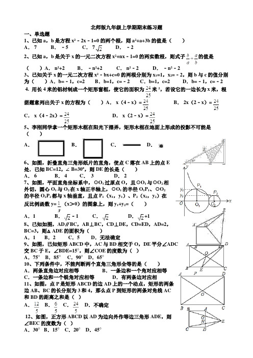 北师大版九年级上学期期末练习题