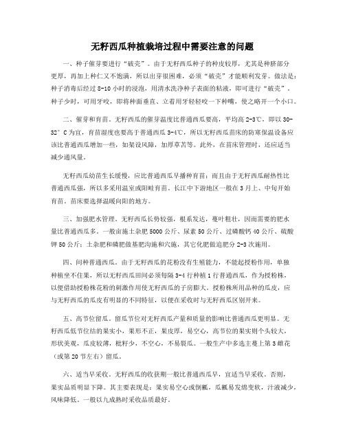 无籽西瓜种植栽培过程中需要注意的问题