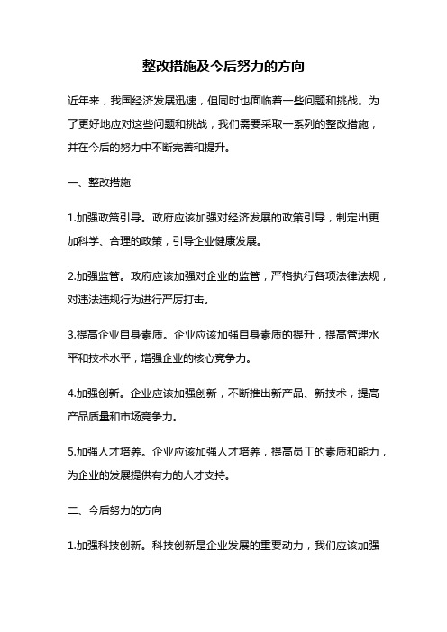 整改措施及今后努力的方向