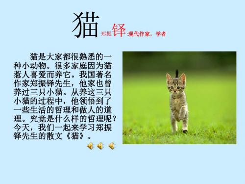 《猫》PPT课件2 (共25张PPT)