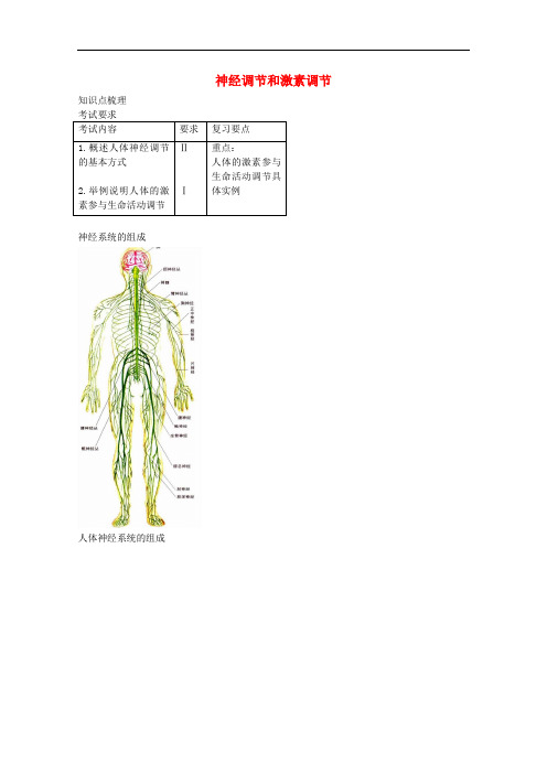 中考生物专题复习 十二 神经调节和激素调节讲义 新人教版