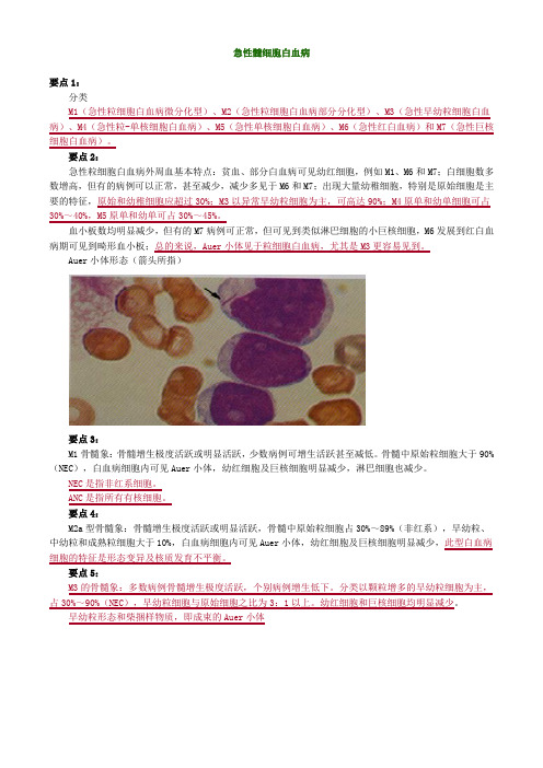 急性髓细胞白血病