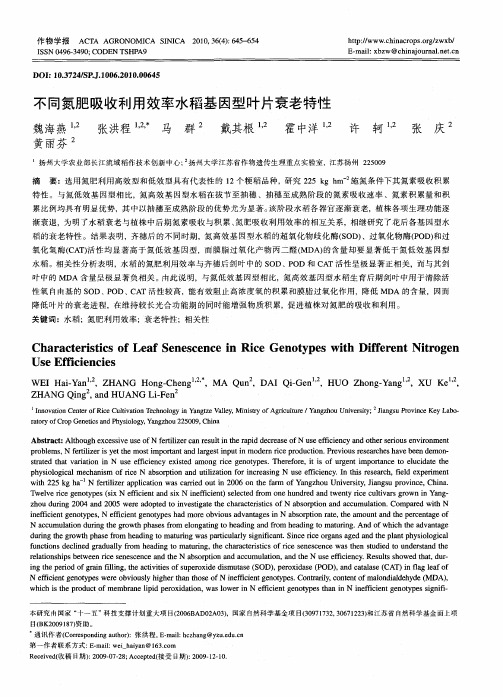 不同氮肥吸收利用效率水稻基因型叶片衰老特性