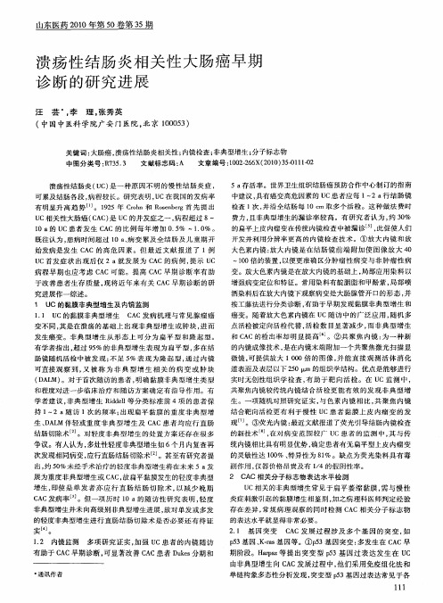 溃疡性结肠炎相关性大肠癌早期诊断的研究进展