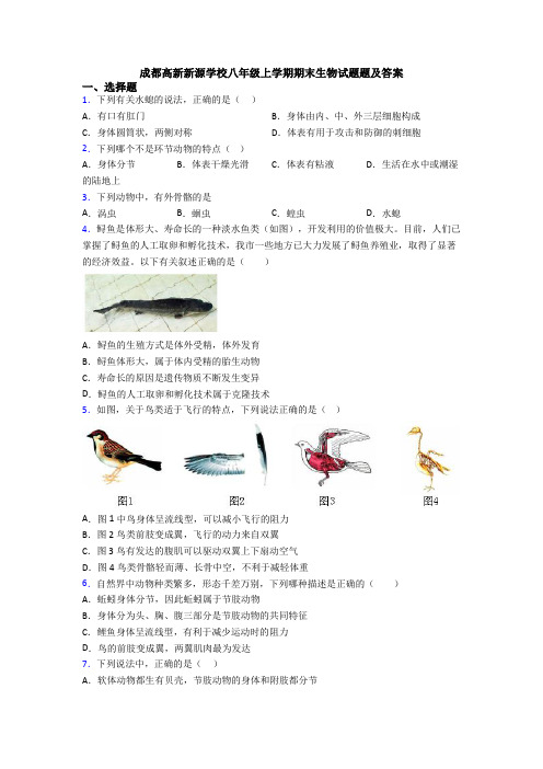 成都高新新源学校八年级上学期期末生物试题题及答案