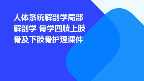 人体系统解剖学局部解剖学 骨学四肢上肢骨及下肢骨护理课件