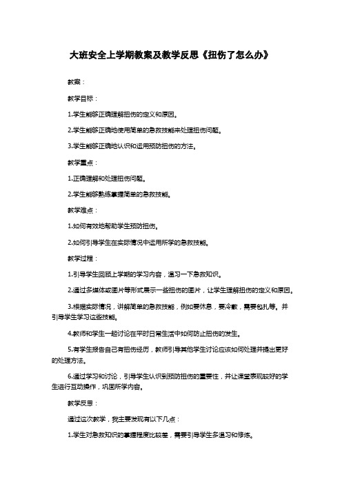 大班安全上学期教案及教学反思《扭伤了怎么办》