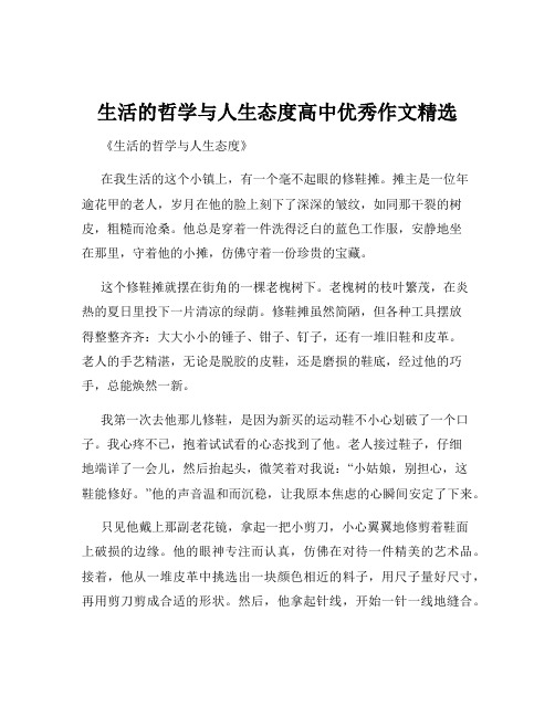 生活的哲学与人生态度高中优秀作文精选