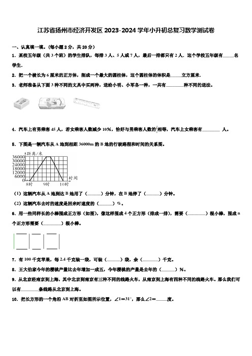 江苏省扬州市经济开发区2023-2024学年小升初总复习数学测试卷含解析