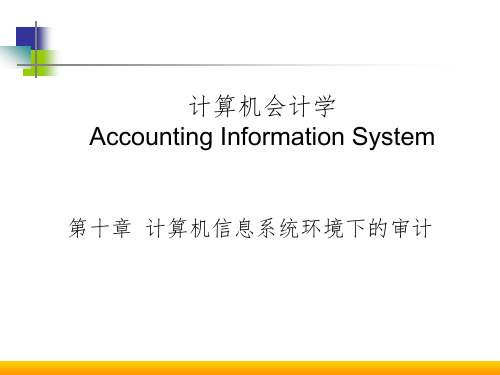 《计算机会计学》PPT课件