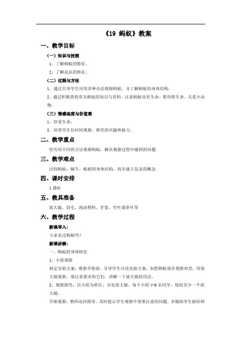 青岛版科学三年级下册 第五单元《19 蚂蚁》教案2