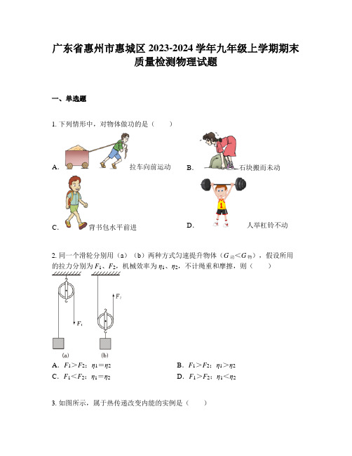 广东省惠州市惠城区2023-2024学年九年级上学期期末质量检测物理试题