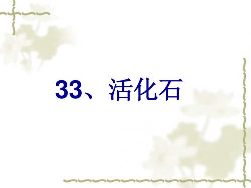 33《活化石》.ppt