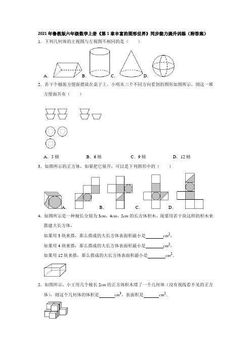 第1章丰富的图形世界同步训练(附答案)2021--2022学年鲁教版(五四制)六年级数学上册