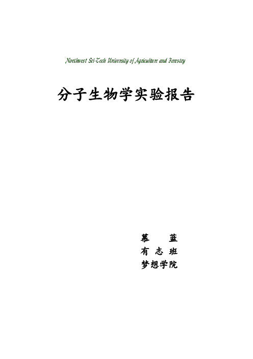 分子生物学实验报告全解(有图有真相)