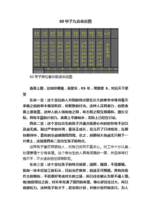 60甲子九宫命运图