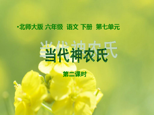 当代神农氏PPT教学课件