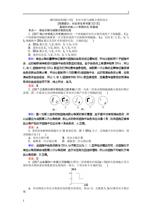 2019高三生物一轮复习课时跟踪检测(十四)有丝分裂与减数分裂的综合 Word版含解析