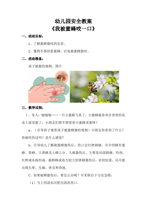 幼儿园安全教案：我被蜜蜂咬一口