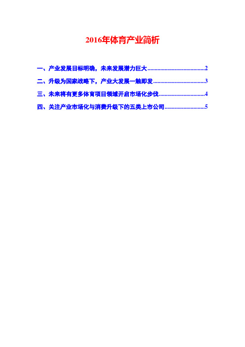 2016年体育产业简析
