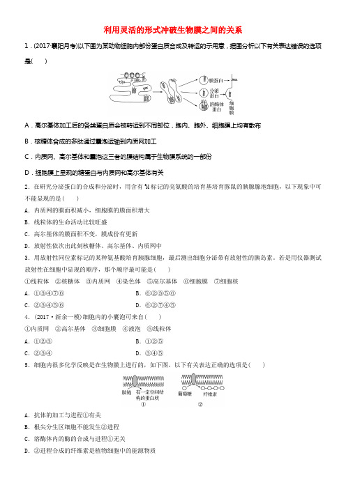 2018年高考生物重难点冲破强化练第10练利用灵活的形式冲破生物膜之间的关系苏教版