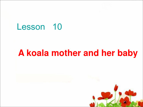 科普版小学六年级英语(下)Lesson10A koala mother and her baby