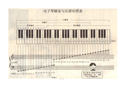 电子琴键盘与乐谱对照表