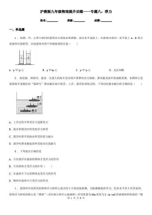 沪教版九年级物理提升训练——专题八：浮力