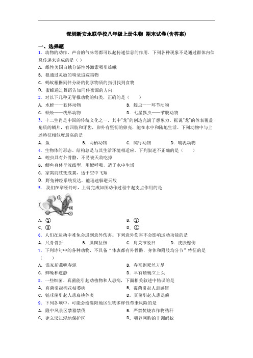 深圳新安永联学校八年级上册生物 期末试卷(含答案)