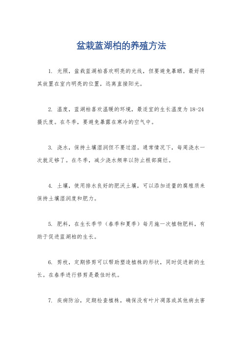 盆栽蓝湖柏的养殖方法