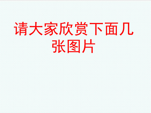 八年级语文上册 4.20《落日的幻觉》课件 新人教版