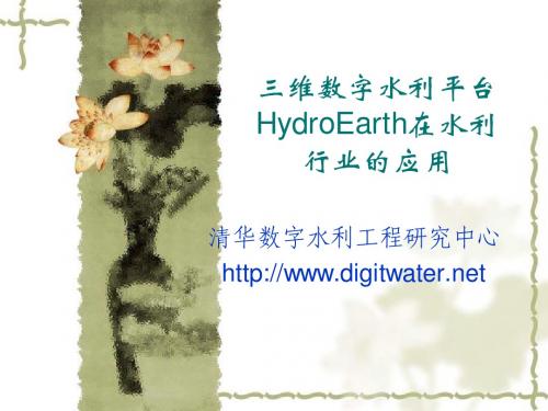 8 陈阳宇 三维数字水利平台HydroEarth在水利行业的应用