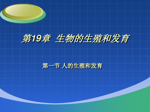 北师大版生物八年级上册19.1《人的生殖和发育》课件32张 (共32张PPT)