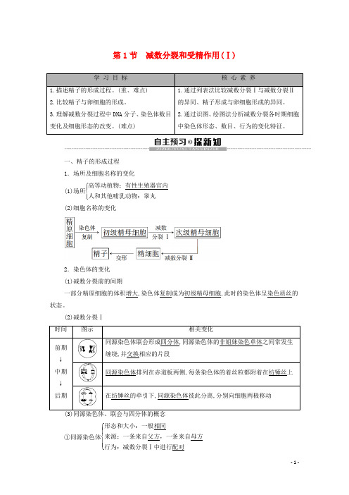 新教材高中生物第2章第1节减数分裂和受精作用(Ⅰ)教学案新人教版必修第二册