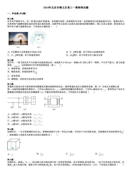 2024年北京市顺义区高三一模物理试题