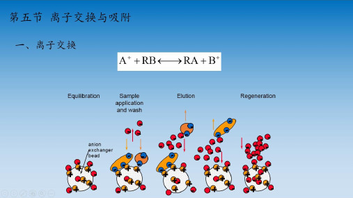 发酵产物的分离提取—离子交换与吸附